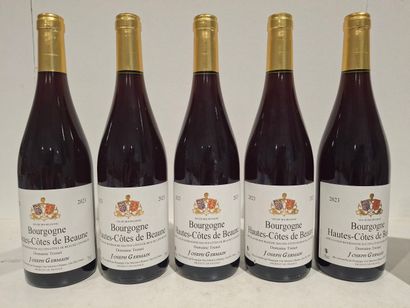 5 Bouteilles Hautes -Côtes de Beaune 2023...