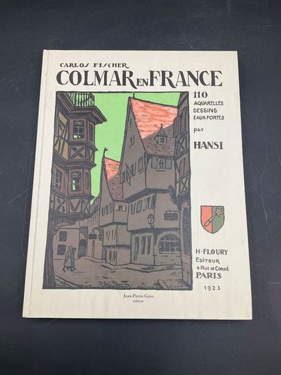 Topographie du vieux Colmar, 573 pages couleurs,...