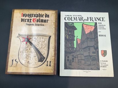 Topographie du vieux Colmar, 573 pages couleurs,...