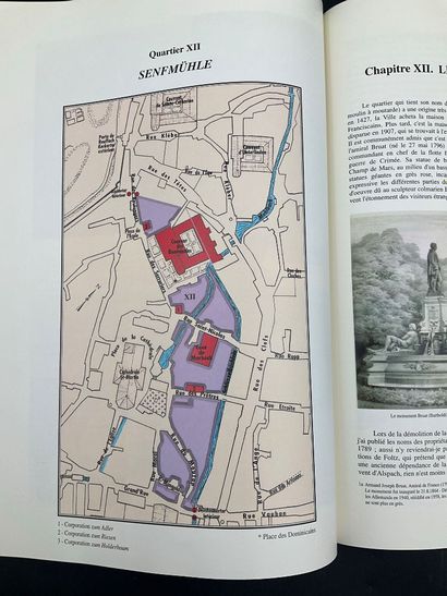 Topographie du vieux Colmar, 573 pages couleurs,...