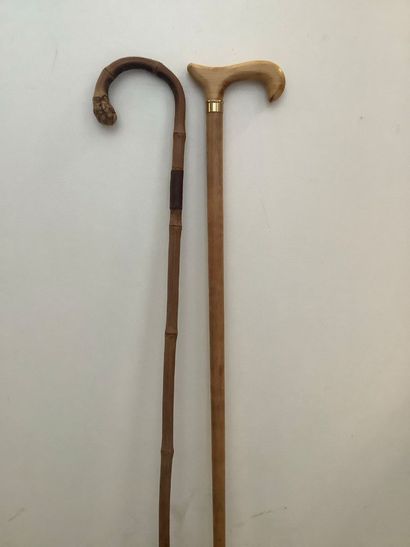 deux cannes: Une canne ancienne courbée en...