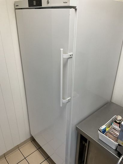 Chambre froide LIEBHERR Profiline. Fonctionnelle....