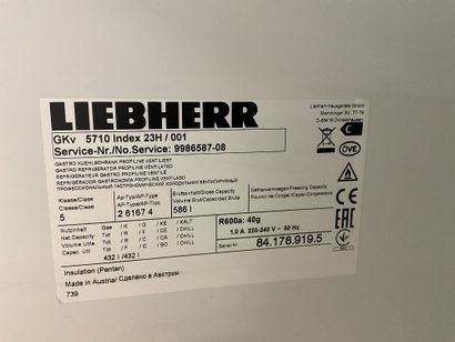 Chambre froide LIEBHERR Profiline. Fonctionnelle....