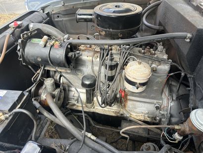 Suite photos PLYMOUTH BELVEDERE