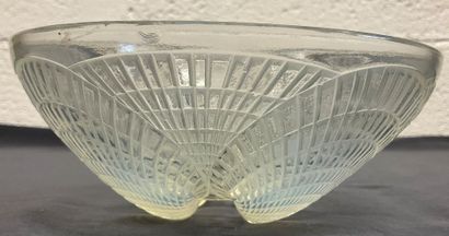LALIQUE, Coupelle coquille .
Pas d’accident,...