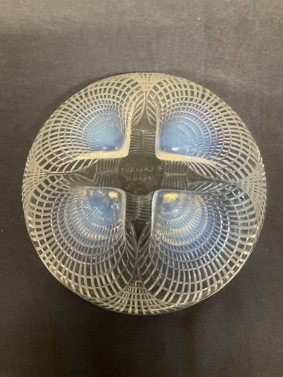 LALIQUE, Coupelle coquille .
Pas d’accident,...