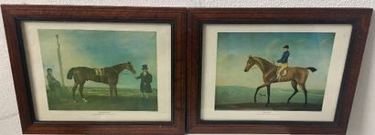 Deux gravures équestres encadrées. Dimension...
