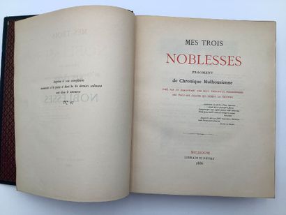 Mes trois noblesses, Fragments de Chronique...