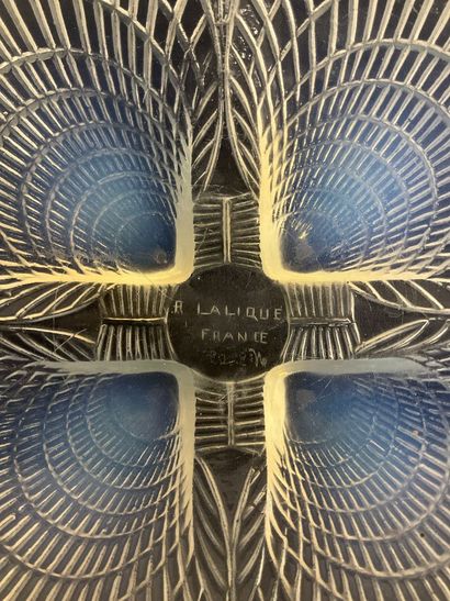LALIQUE, Coupelle coquille .
Pas d’accident,...