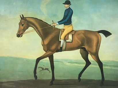 Deux gravures équestres encadrées. Dimension...