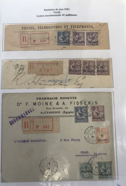 Collection spécialisée type mouchons Port...