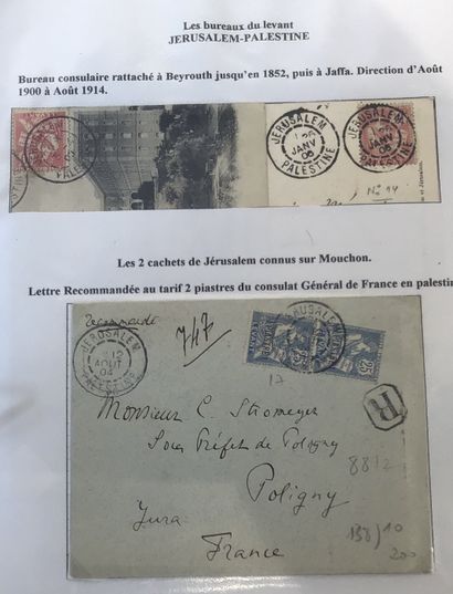 Collection spécialisée de type mouchon dans...