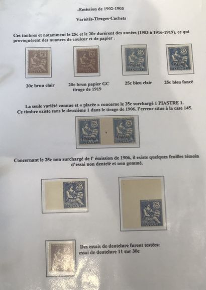 Collection spécialisée de type mouchon dans...