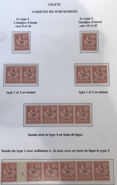 Collection spécialisée de type mouchon dans...