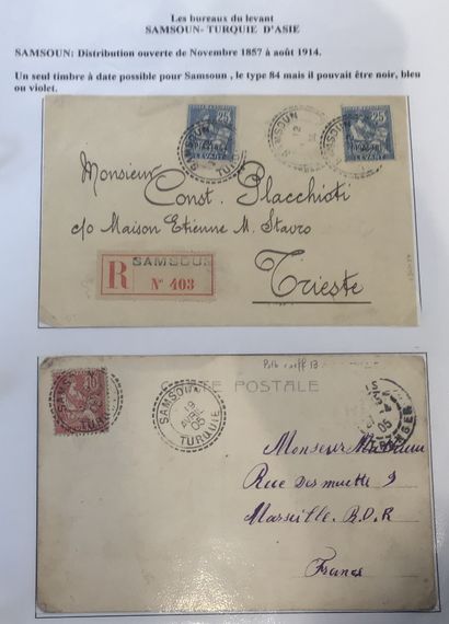 Collection spécialisée de type mouchon dans...