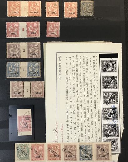Collection spécialisée de type mouchon dans...