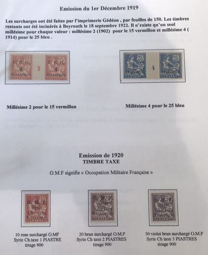 Collection spécialisée de type mouchon dans...