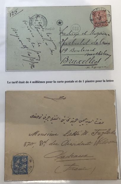 Collection spécialisée de type mouchon dans...