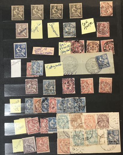 Collection spécialisée de type mouchon dans...