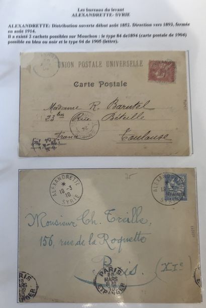 Collection spécialisée de type mouchon dans...