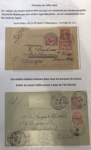 Collection spécialisée de type mouchon dans...