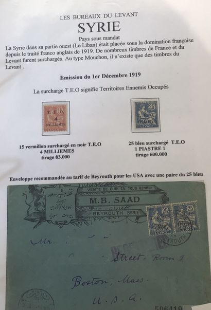 Collection spécialisée de type mouchon dans...