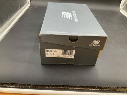 NEW BALANCE, modèle 530,pointure 40,5,paire...