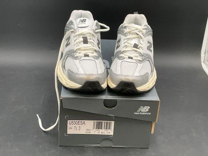 NEW BALANCE, modèle 530,pointure 40,5,paire...