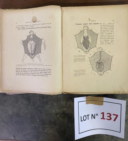 Livre vétérinaire broché de 1926, dédicacé...