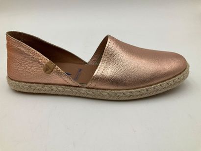 VERBENAS, modèle Carmen Monrovia, taille...