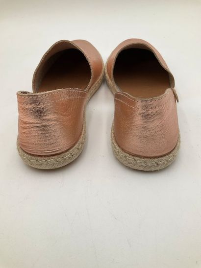 VERBENAS, modèle Carmen Monrovia, taille...