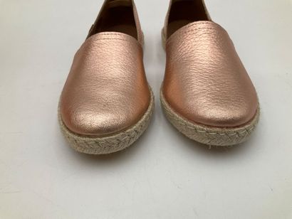 VERBENAS, modèle Carmen Monrovia, taille...