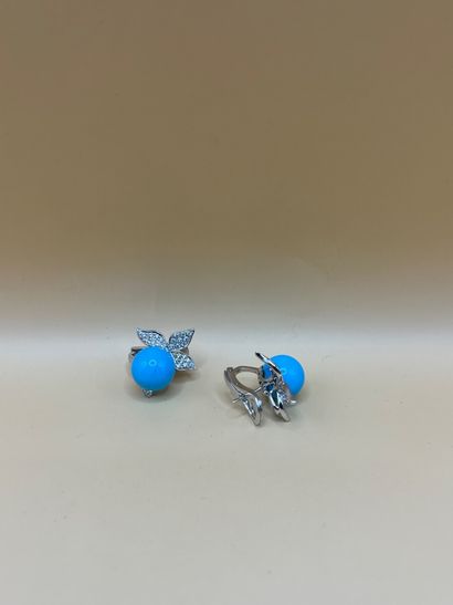 Paire de clips d'oreilles (pour oreilles...