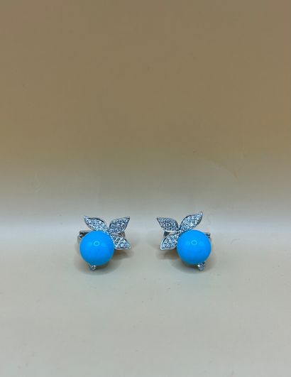 Paire de clips d'oreilles (pour oreilles...