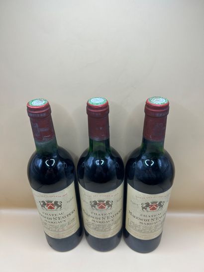 3 bouteilles, Margaux, Château Malescot St...