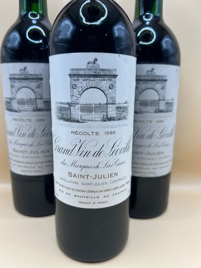 Lot of 3 bottles, Saint-Julien, Grand Vin...