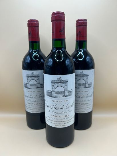 Lot of 3 bottles, Saint-Julien, Grand Vin...