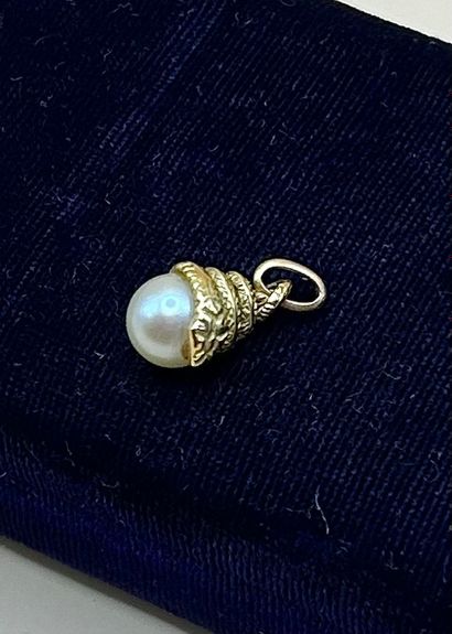 Pendentif en or jaune 18 carats (750/1000)...