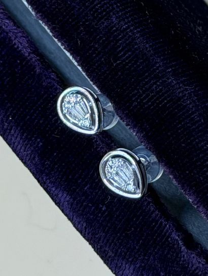 Paire de puces d'oreilles 
