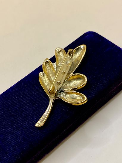 Broche 