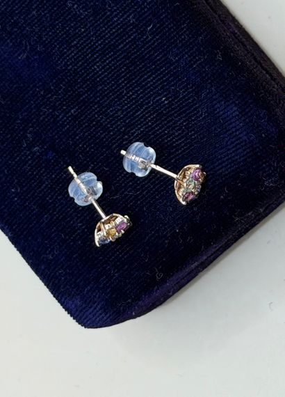 Paire de puces d'oreilles 