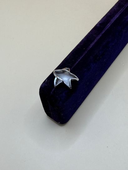 Pendentif étoile en or gris 18 carats (750/1000),...