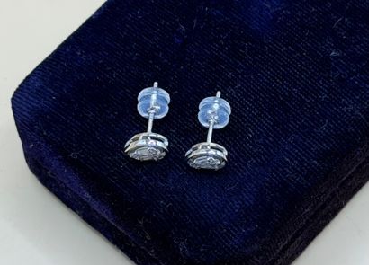 Paire de puces d'oreilles 