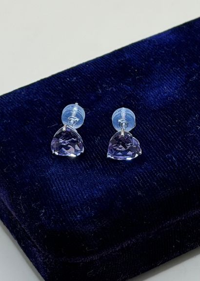 Paire de puces d'oreilles 