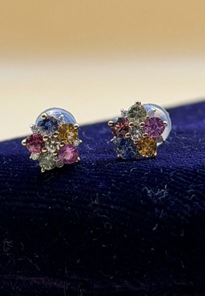 Paire de puces d'oreilles 