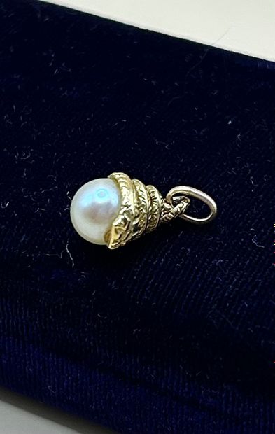 Pendentif en or jaune 18 carats (750/1000)...