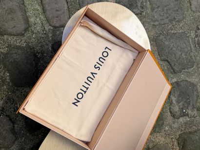 LOUIS VUITTON 
Circa 2020 
Sacoche modèle...
