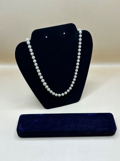 Collier en perles de culture crème à nuance...
