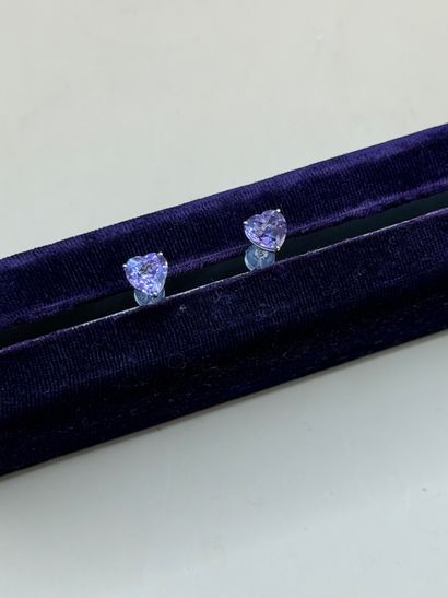 Paire de puces d'oreilles 