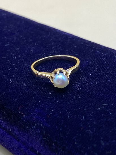 Lot de cinq bagues en or jaune 18 carats...